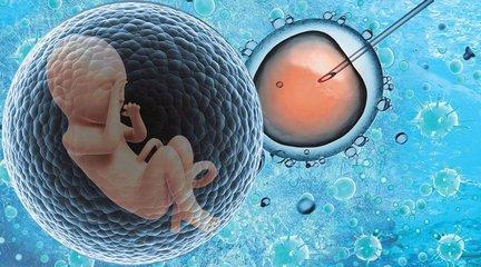 代怀选性别包生男孩试管婴儿中心